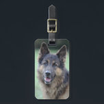 Portrait of German Sheppard Luggage Tag<br><div class="desc">close-up of a dog face | Martial Colomb | AssetID: 95600876</div>