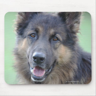 Portrait of German Sheppard Mouse Pad