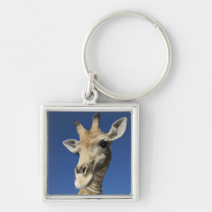 Portrait of Giraffe (Giraffa Camelopardalis) 2 Keychain