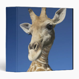 Portrait of Giraffe (Giraffa Camelopardalis) Binder