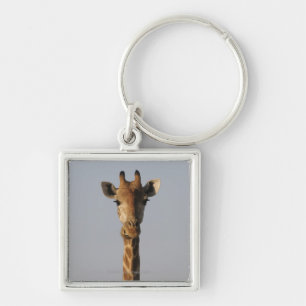 Portrait of Giraffe (Giraffa camelopardalis), Keychain
