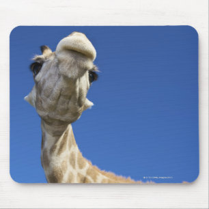 Portrait of Giraffe (Giraffa Camelopardalis) Mouse Pad