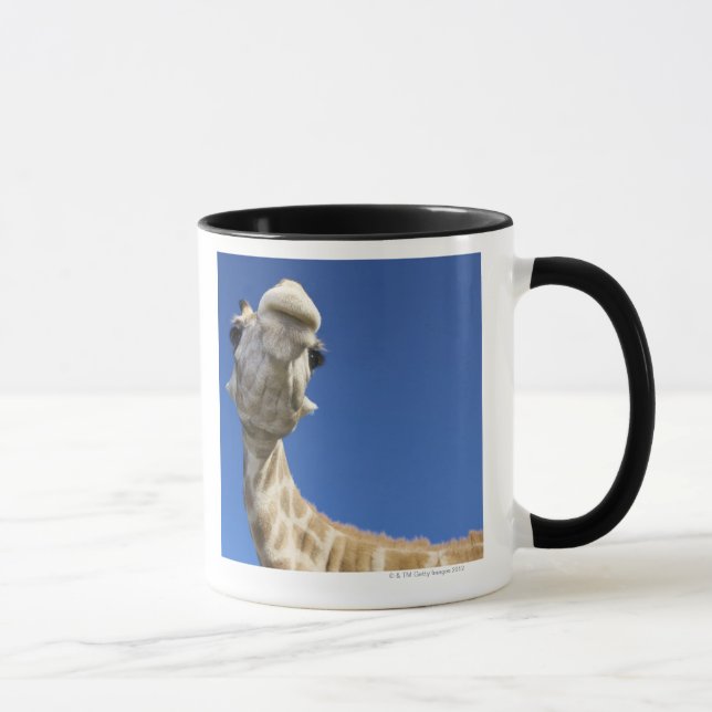 Portrait of Giraffe (Giraffa Camelopardalis) Mug (Right)