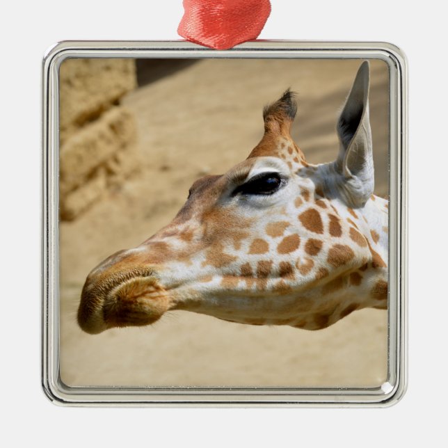 Portrait of giraffe metal ornament (Front)