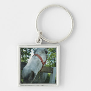Portrait of Horse Keychain