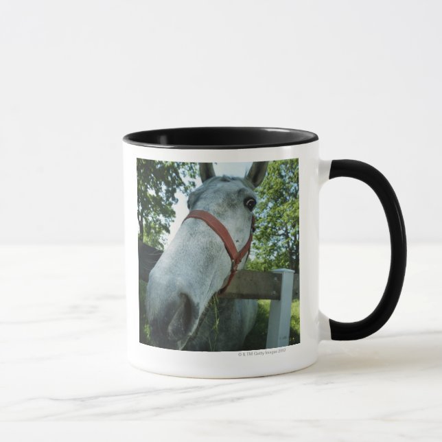 Portrait of Horse Mug (Right)