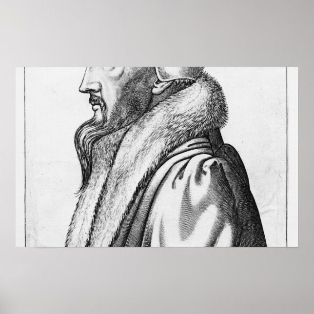Portrait of John Calvin  aged 53, 1564 Poster (Front)
