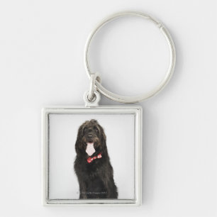 Portrait of Labradoodle dog Keychain