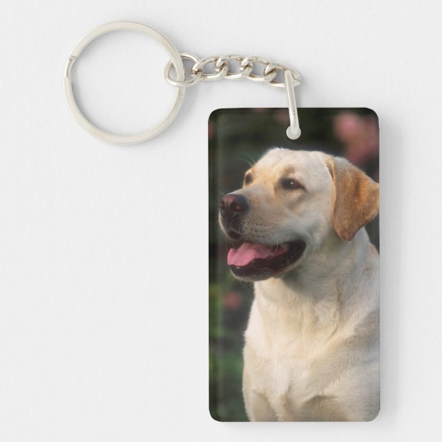 Portrait Of Labrador Retriever, Hilton Keychain (Front)