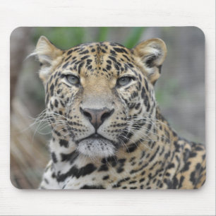 Portrait of Leopard Mouse Pad