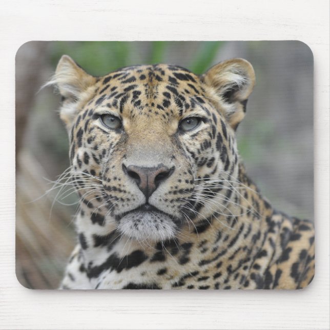 Portrait of Leopard Mouse Pad (Front)
