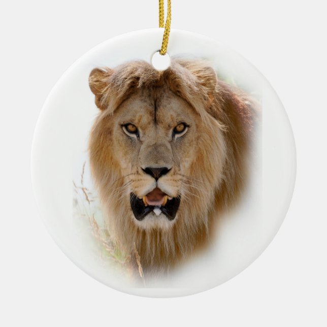 Portrait of lion ceramic ornament (Front)