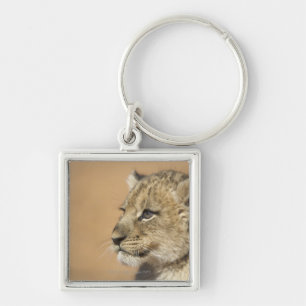 Portrait of Lion cub (Panthera Leo), Namibia Keychain