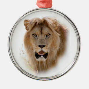 Portrait of lion metal ornament