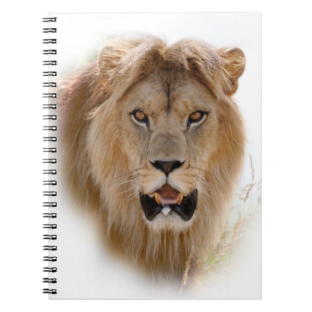Portrait of lion notebook (Front)