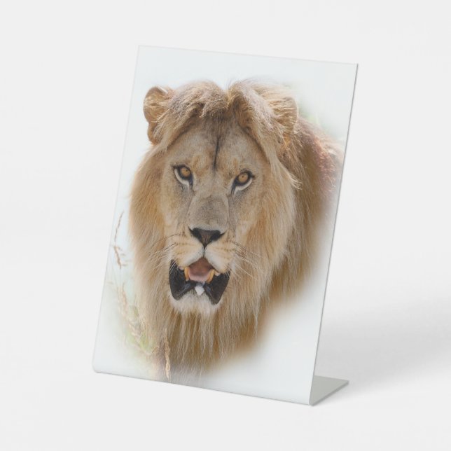 Portrait of lion pedestal sign (Front)