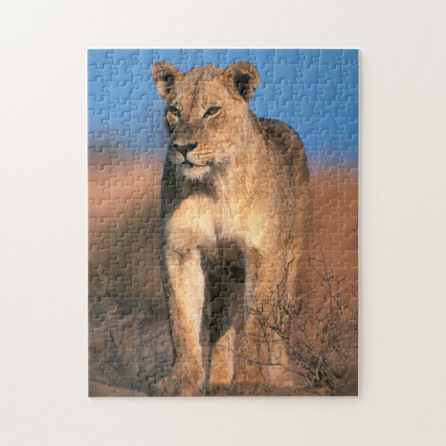 Portrait Of Lioness (Panthera Leo) Jigsaw Puzzle (Vertical)