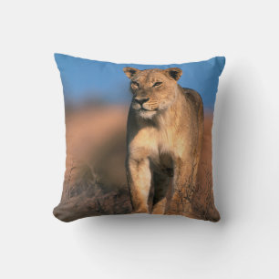 Portrait Of Lioness (Panthera Leo) Throw Pillow