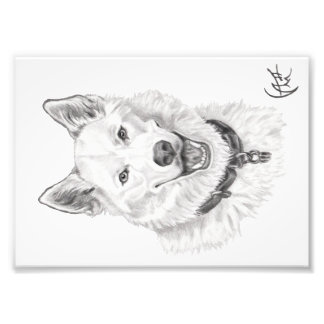 Portrait of Loki Photo Print