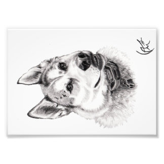 Portrait of Lugh Photo Print