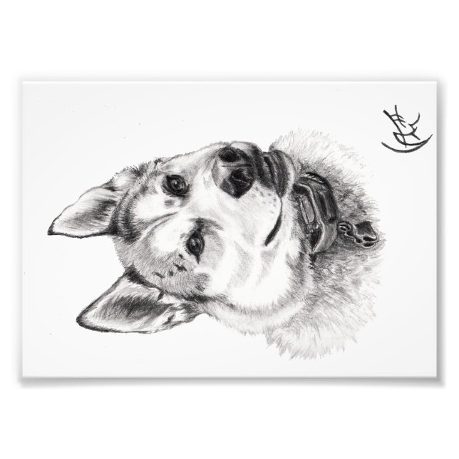 Portrait of Lugh Photo Print (Front)