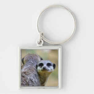 Portrait of meerkats or suricates keychain