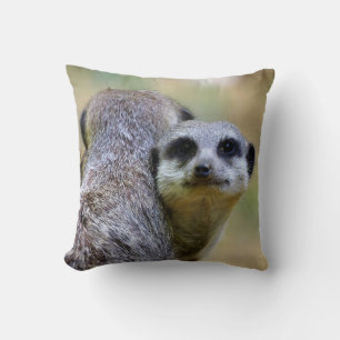 Portrait of meerkats or suricates throw pillow