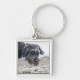 Portrait of mix breed dog, leaning over pebbles. keychain