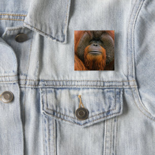 Portrait of Orang-utang Male, Georgia, USA 2 Inch Square Button