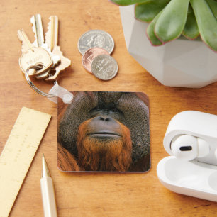 Portrait of Orang-utang Male, Georgia, USA Keychain