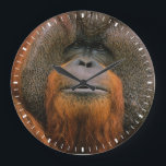 Portrait of Orang-utang Male, Georgia, USA Large Clock<br><div class="desc">Portrait of Orang-utang (Pongo pygmaeus) male,  Georgia,  USA</div>