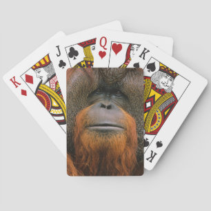 Portrait of Orang-utang Male, Georgia, USA Playing Cards