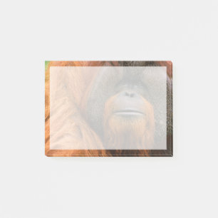 Portrait of Orang-utang Male, Georgia, USA Post-it Notes