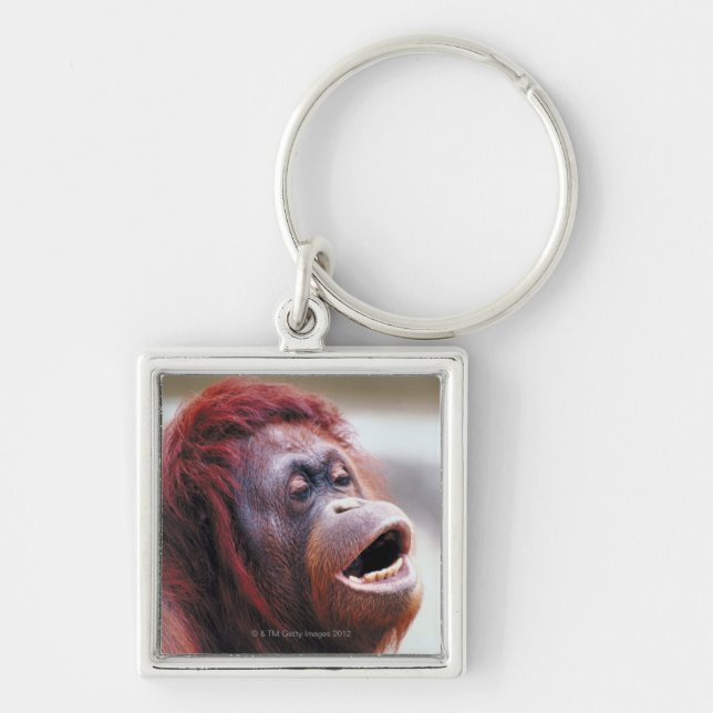 Portrait of orangutan keychain (Front)