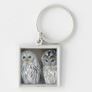 Portrait of owls keychain