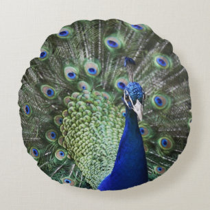 Portrait Of Peacock With Feathers Out Round Pillow