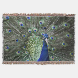Portrait Of Peacock With Feathers Out Throw Blanket