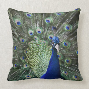 Portrait Of Peacock With Feathers Out Throw Pillow