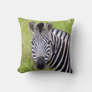 Portrait Of Plains Zebra, Hluhluwe-Umfolozi Game Throw Pillow
