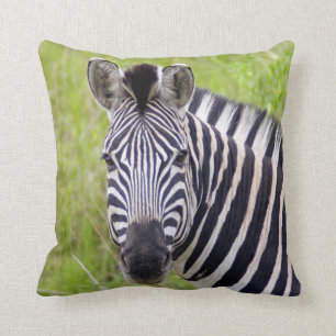 Portrait Of Plains Zebra, Hluhluwe-Umfolozi Game Throw Pillow