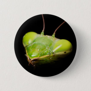 Portrait of praying mantis 2 inch round button