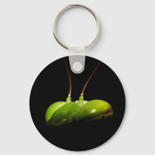 Portrait of praying mantis keychain