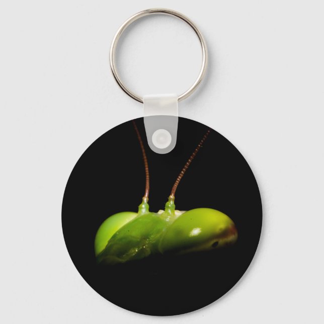 Portrait of praying mantis keychain (Front)