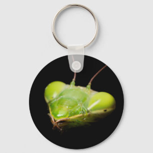 Portrait of praying mantis keychain