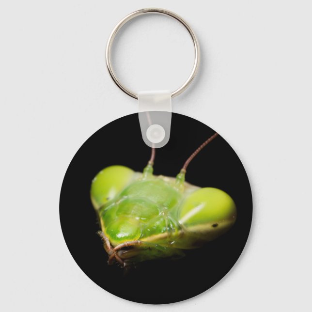 Portrait of praying mantis keychain (Front)