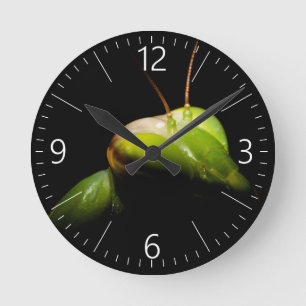 Portrait of praying mantis round clock