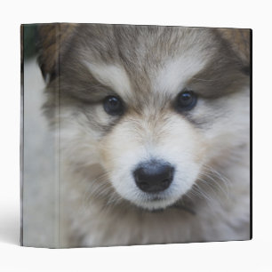 Portrait of puppy binder
