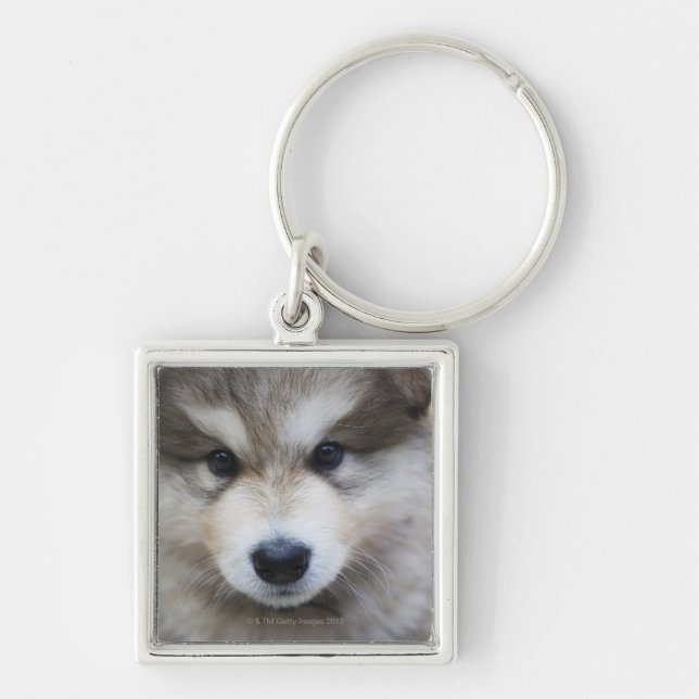 Portrait of puppy keychain (Front)