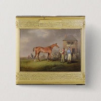 Portrait of 'Quiz', the property of Lord Rous, aft