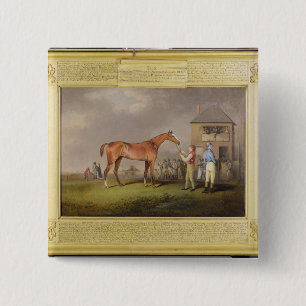 Portrait of 'Quiz', the property of Lord Rous, aft 2 Inch Square Button